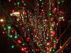 014 Toledo Zoo Light Show [2008 Dec 27]